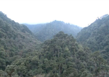 Nyala Duem legend- Bhutanese version of ‘Maleficent’ losing its allure