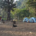 A new campsite helps village revive its economy- Chhukha