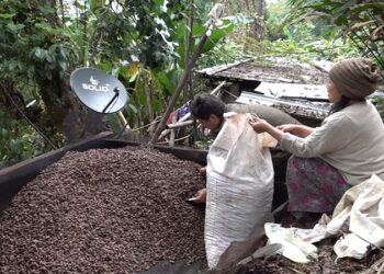 Cardamom price increases in Zhemgang