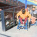 International Day of Persons with Disabilities