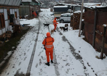 Safety of drivers and pedestrians along the new four-lane road- Thimphu