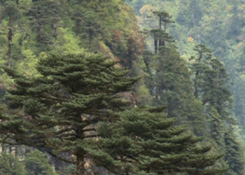 High-Value Conservation- manage, maintain and enhance the value