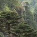 High-Value Conservation- manage, maintain and enhance the value