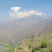 Forest fire contained after five days, Wangdue