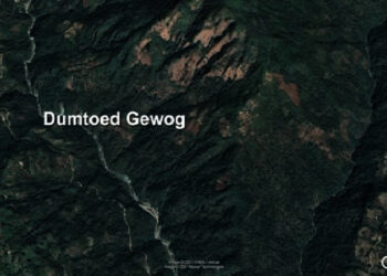 ECB penalises former Dumtoed Gup for recharging voucher to a voter