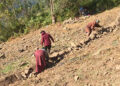 Improving land to make it cultivable – Dagana