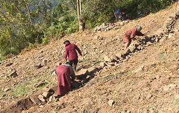 Improving land to make it cultivable – Dagana