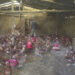 Poultry farmers want Karma Feeds to compensate for their losses