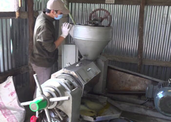 Oil extraction machine benefits mustard growers in Dewathang