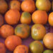 Orange dealers unhappy with poor orange yield in Tsirang
