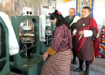 Economic utilisation of areca nut plate making unit for rural livelihood