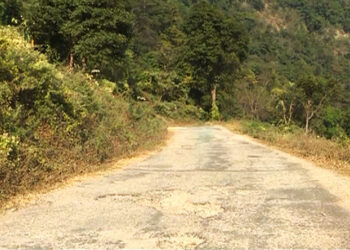 Road between Baleygang and Nyindukha in need of maintenance- Dagana