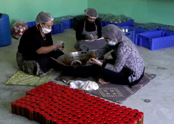 Sherchog Womens’ Group resumes its business and helps employ women