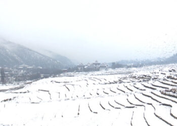 The season’s first snowfall