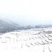 The season’s first snowfall