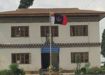 Tsirang Police arrested a man for alleged cattle lifting