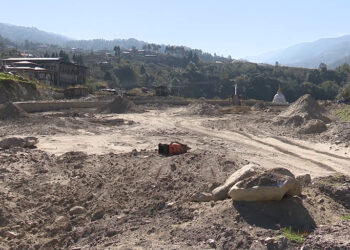 Trashi Yangtse ails for artificial turf