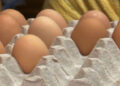 Imported eggs to hit the market this week