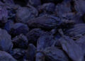 Queen of spices fetch better price; farmers all smile- Dagana