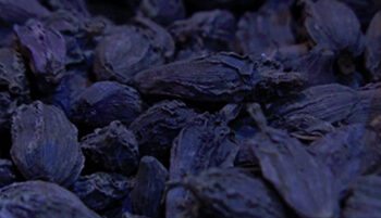 Queen of spices fetch better price; farmers all smile- Dagana