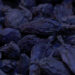 Queen of spices fetch better price; farmers all smile- Dagana