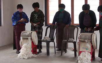 Cotton, a growing interest at Thongsa village in Pema Gatshel