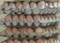 Bhutan to import eggs from India next week