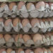 Bhutan to import eggs from India next week