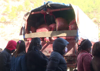 Police officer accused of sexually harassing female constable at Nganglam, Pema Gatshel