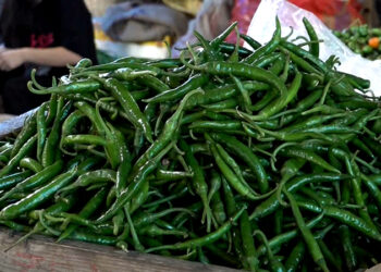Consumers unhappy with high chilli price