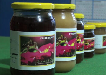 No adulteration in Bumthang honey: NHRDC