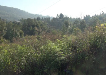 Plot owners in Damphu want construction moratorium to be lifted at the earliest