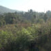 Plot owners in Damphu want construction moratorium to be lifted at the earliest