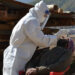 Three-day mass screening begins in Thimphu