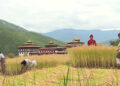 Crop and livestock insurance in Bhutan yet to takeoff