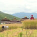 Crop and livestock insurance in Bhutan yet to takeoff