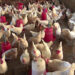 Poultry farmers not happy with the monetary compensation