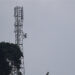 More towers to improve network connectivity in Samste