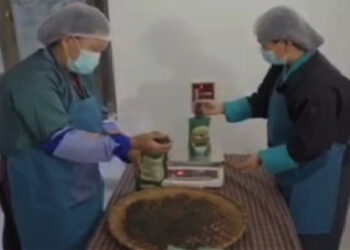 Samchhoeling green tea growers enjoy better harvest