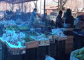 Vegetable vendors in Paro happy with Task Force’s decision to allow them operate during lockdown