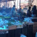 Vegetable vendors in Paro happy with Task Force’s decision to allow them operate during lockdown