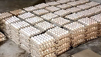 No market for local eggs as production regains