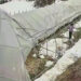 Heavy snowfall damages greenhouses in Gasa