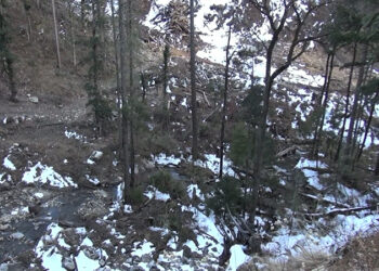 NRDCL and Langpa-Nobgang community at loggerheads over the company’s timber extraction works