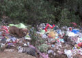 Haa grappling with illegal waste dumping