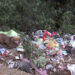 Haa grappling with illegal waste dumping