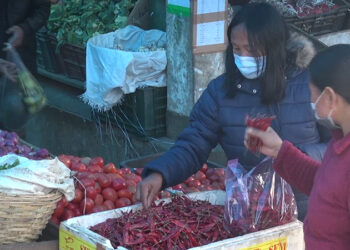 Damphu Town faces severe chilli scarcity due to lockdown