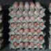 Egg production picks up in Tsirang