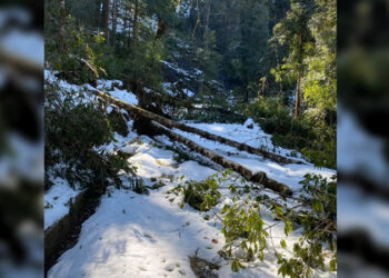 Heavy snowfall blocks GC road in Zhemgang