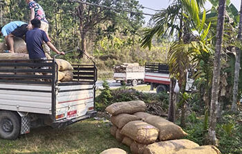 Government supports betel nut growers amid the pandemic in Sarpang